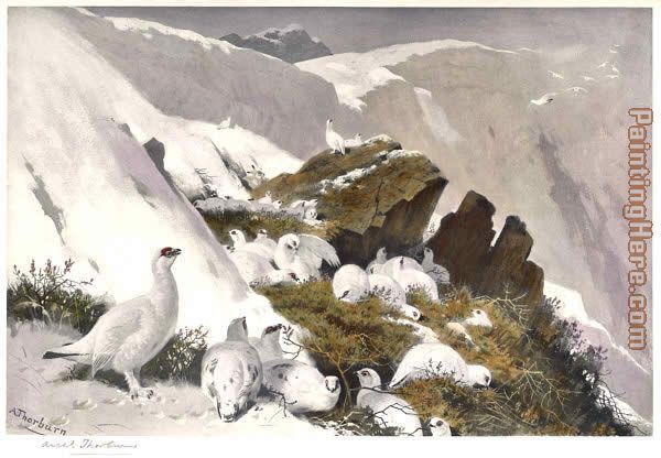 Ptarmigan on Snow Slip painting - Archibald Thorburn Ptarmigan on Snow Slip art painting